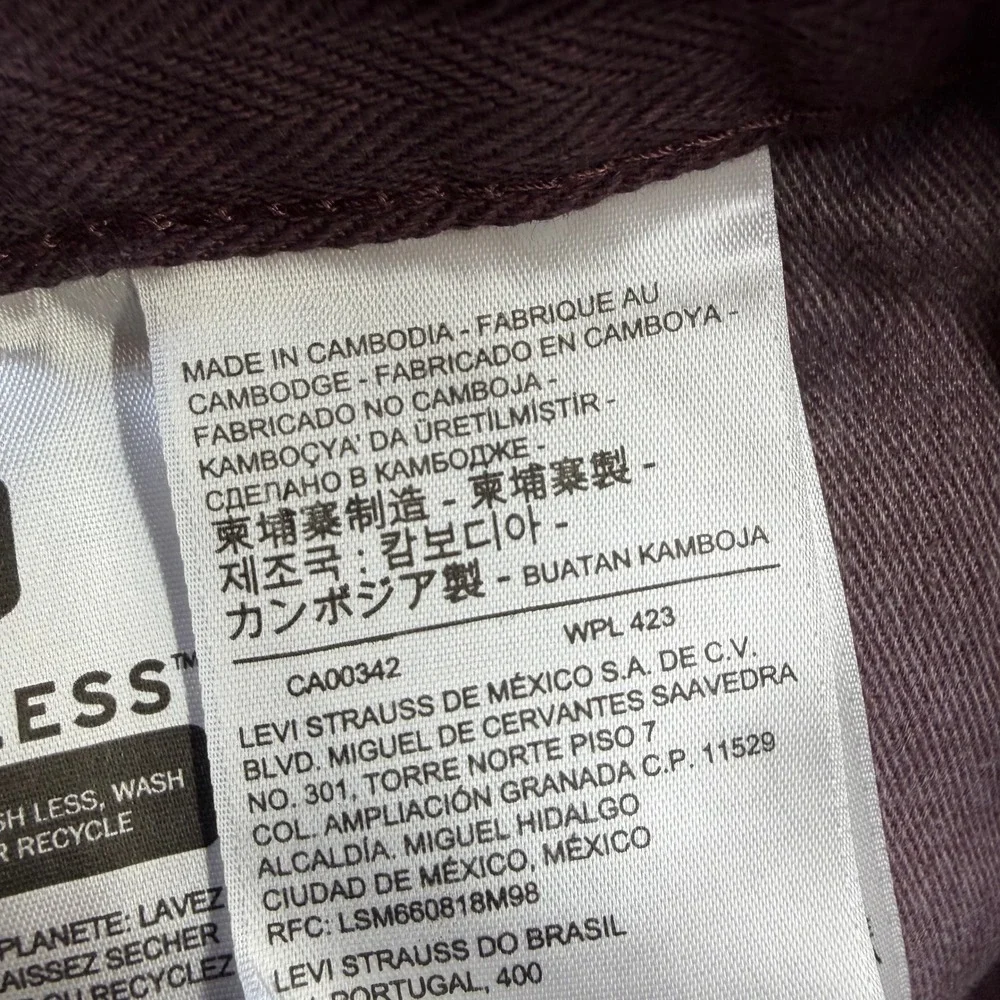 NWT Levi's Stay Loose Carpenter Pants Mens 34x30 Relaxed Burgundy Herringbone